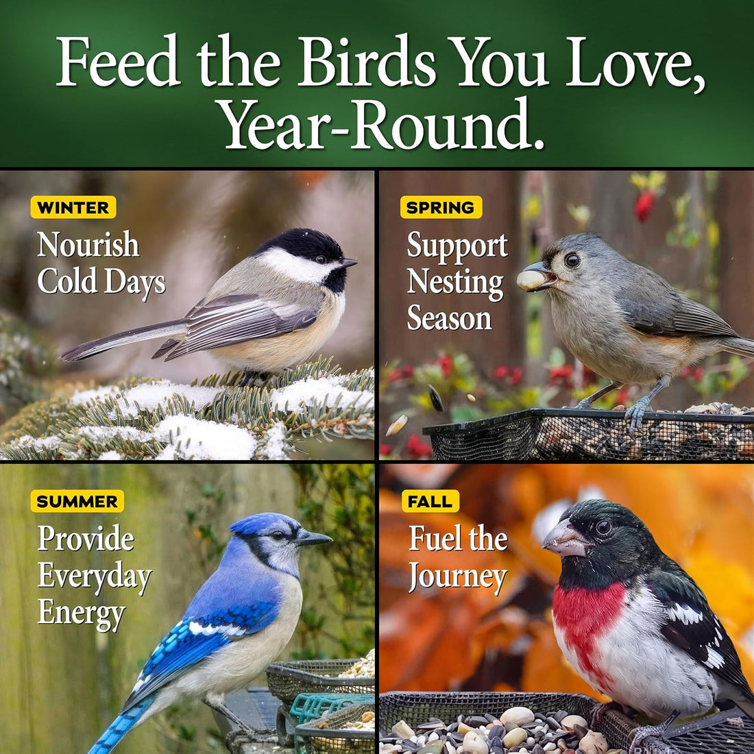 Wild Delight Advanced Formula Bugs N Berries Wild Bird Food 4.5 lbs