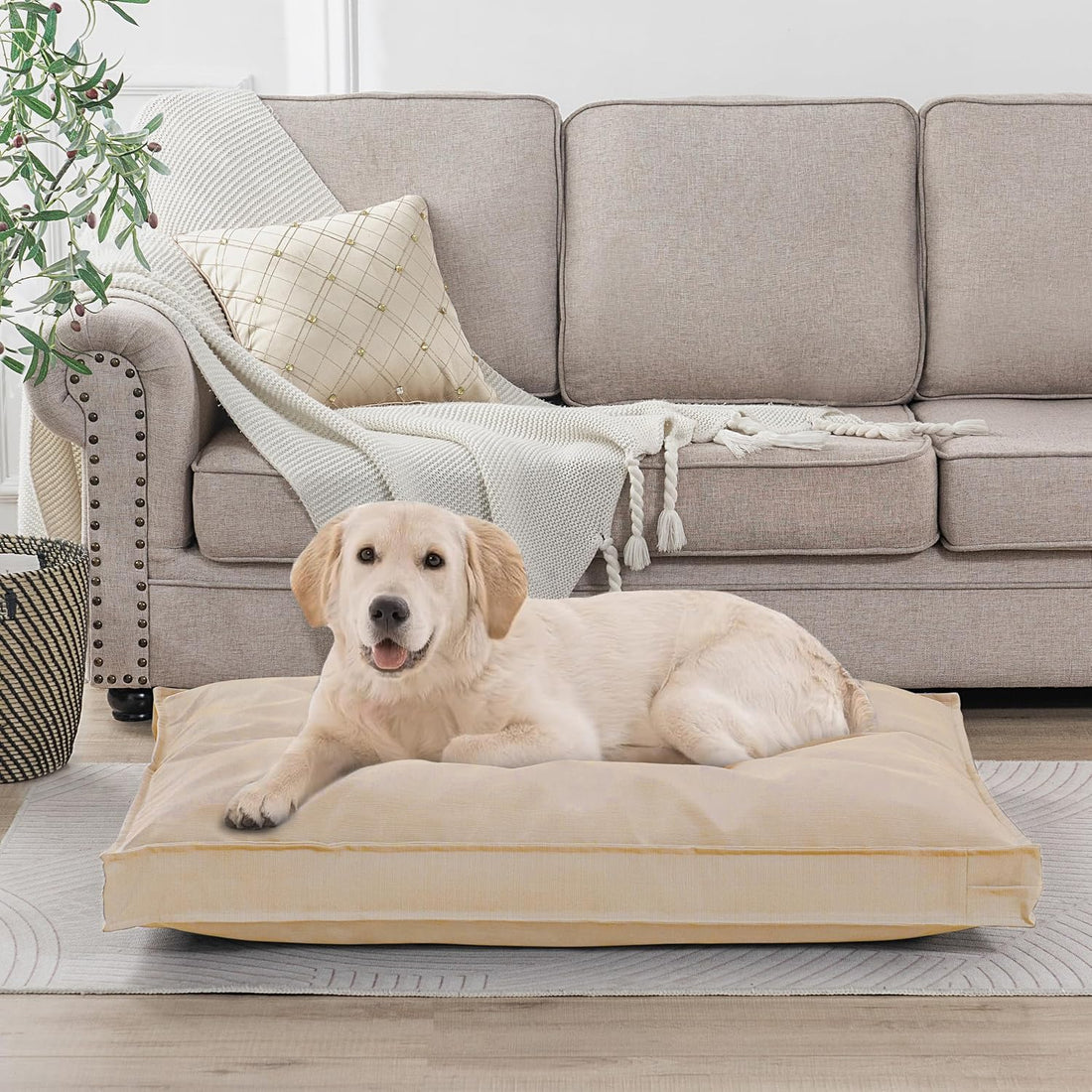 Dog Bed Covers Replacement, 36Lx27Wx3H Inch, Cover Only