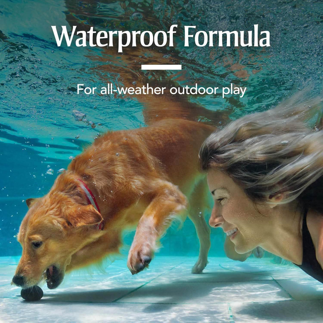 PetArmor for Dogs, Flea and Tick Treatment for Large Dogs