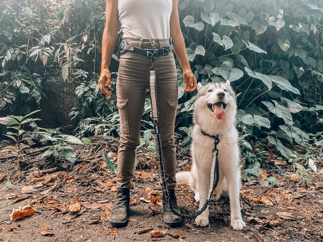 Tuff Pupper Heavy Duty Hands Free Dog Leash