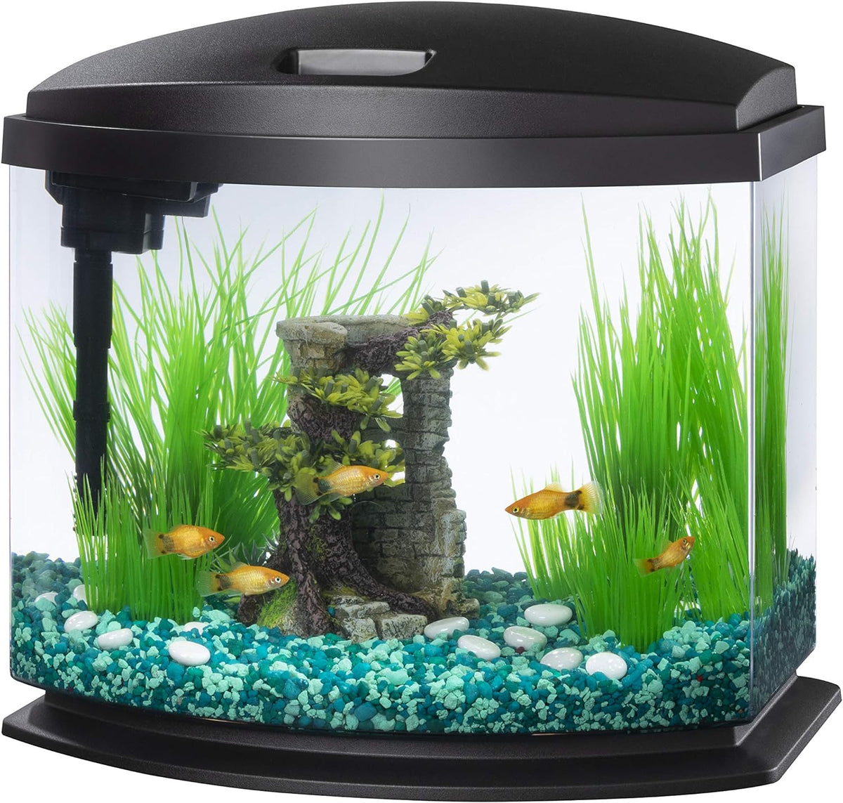 Aqueon LED MiniBow Small Aquarium Fish Tank Kit with SmartClean