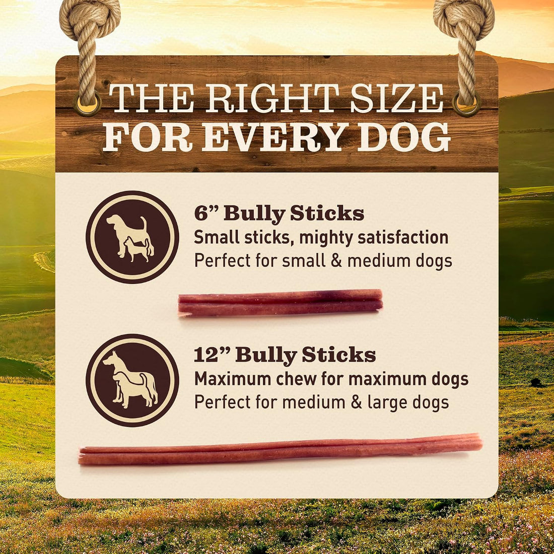 EVER FARM Pet Odor-Free Standard Bully Sticks