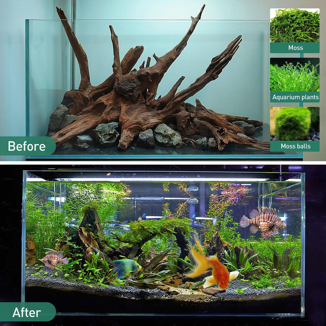 WDEFUN 3 PCS Natural Driftwood for Aquarium Decor Fish Tank