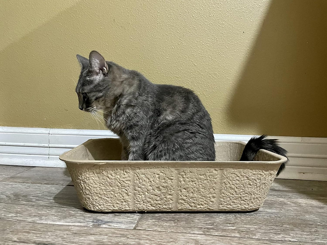 Midlee Large Disposable Cat Litter Boxes
