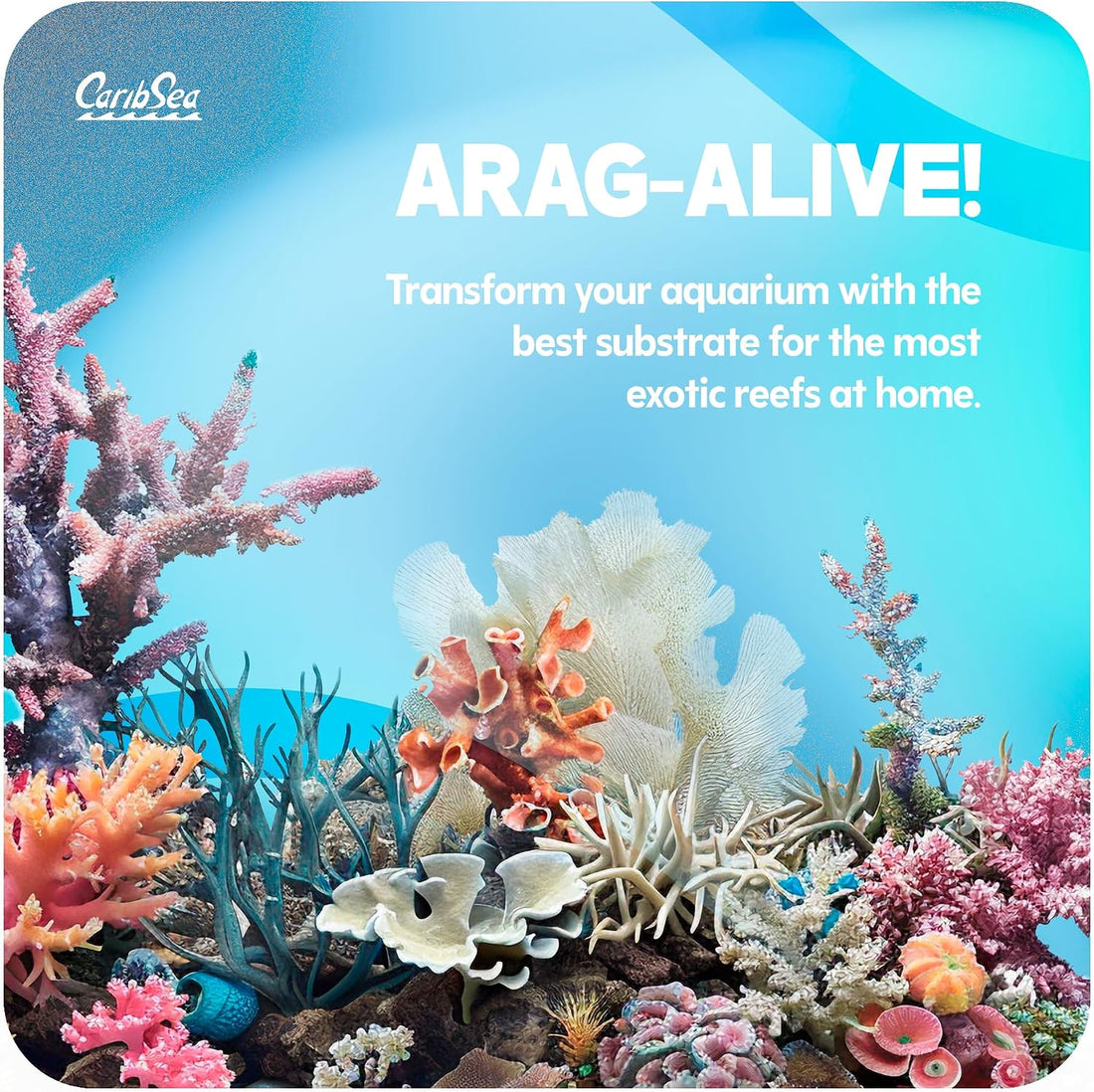 Carib Sea Arag-Alive Substrate Special Grade Reef Sand, 10 lb.