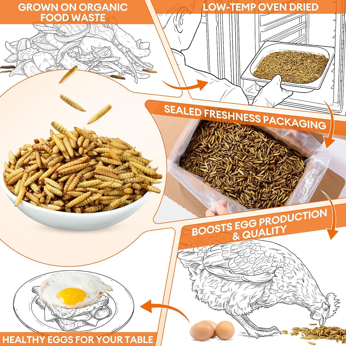 BUCATSTATE Dried Black Soldier Fly Larvae for Chickens and Ducks