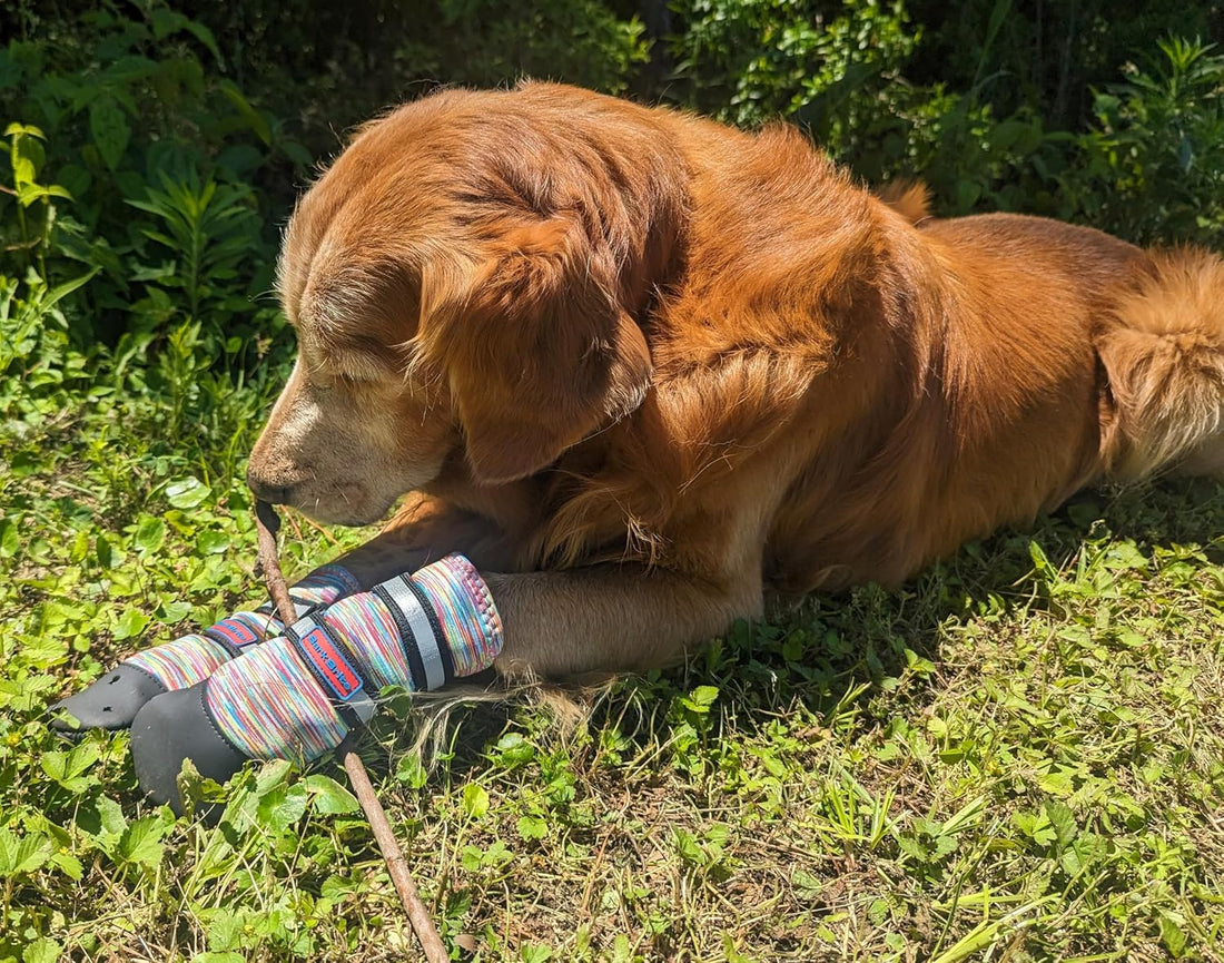 All Weather Neoprene Paw Protector Dog Boots with Reflective Straps