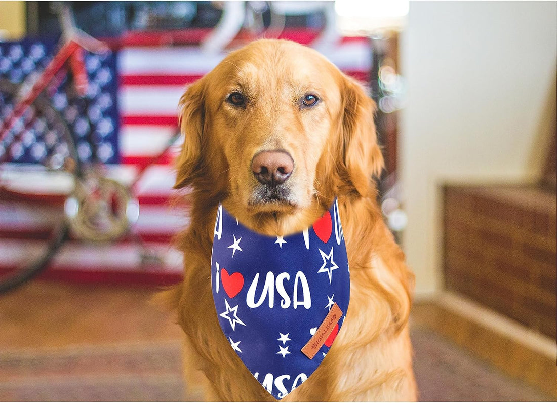 Realeaf 4th of July Bandanas 2 Pack