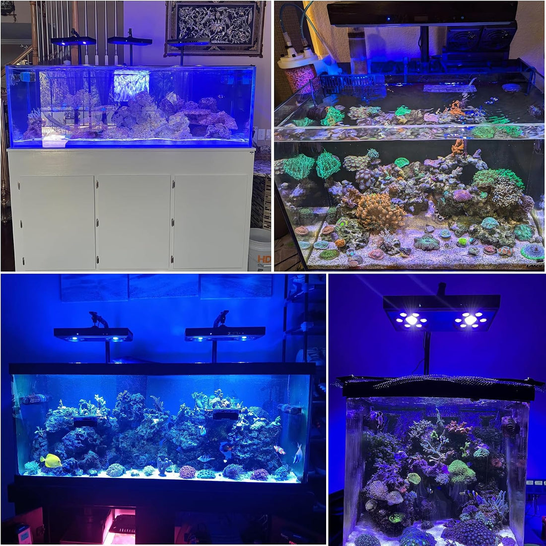 Aquarium Light- 140W Reef Light Wide Coverage Sunrise Sunset