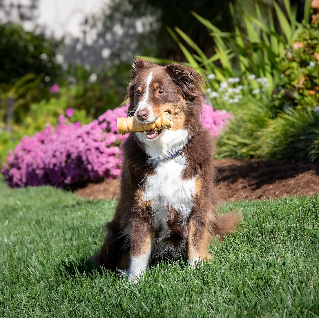 Wild Eats Water Buffalo Retriever Style Cheek Roll Dog Chews