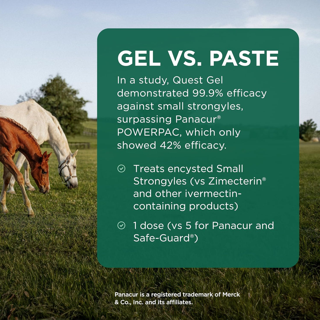 Quest (moxidectin) Gel Dewormer for Horses, 0.5 oz Syringe