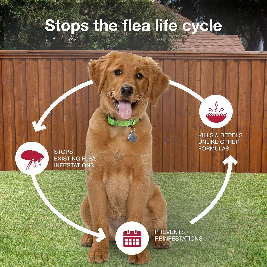 K9 Advantix II Medium Dog Vet-Recommended Flea