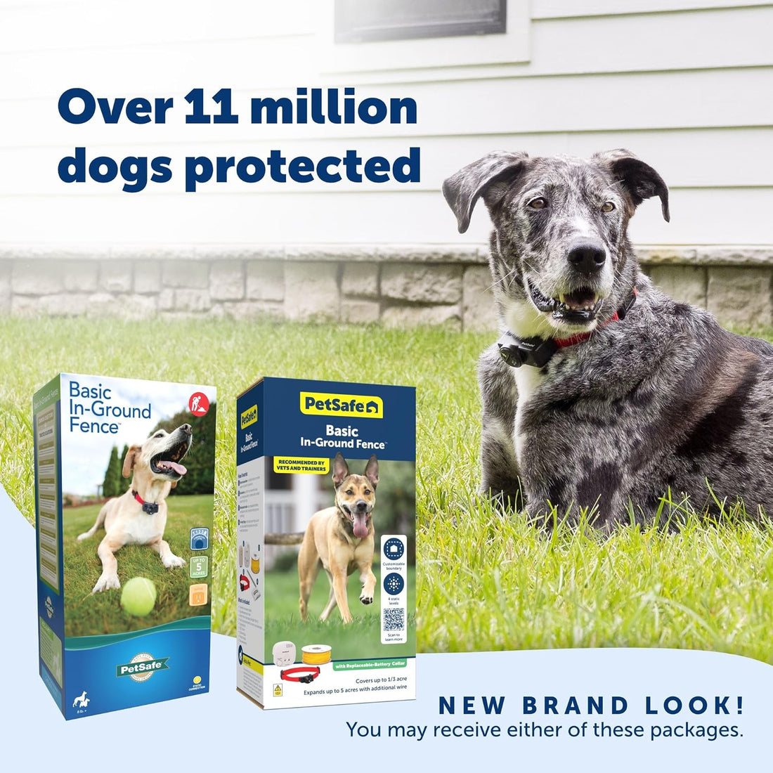 PetSafe Basic In-Ground Fence, Up to 1/3 Acre