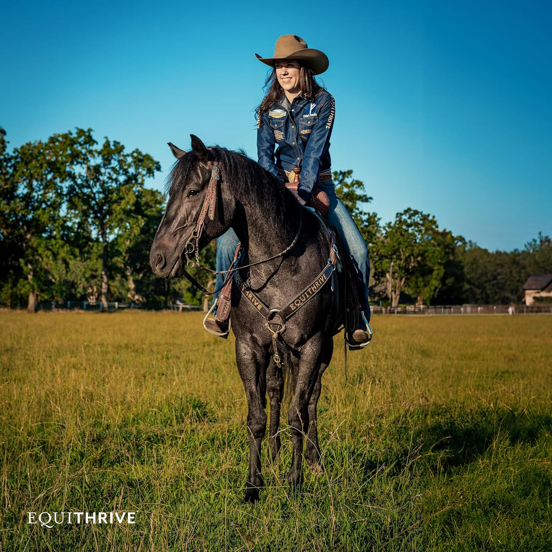 Equithrive Classic Joint Pellets Horse Supplement