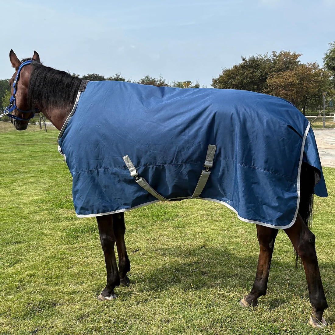 Surcingle Turnout Blankets for Horse,1680D Winter Water-Resistant