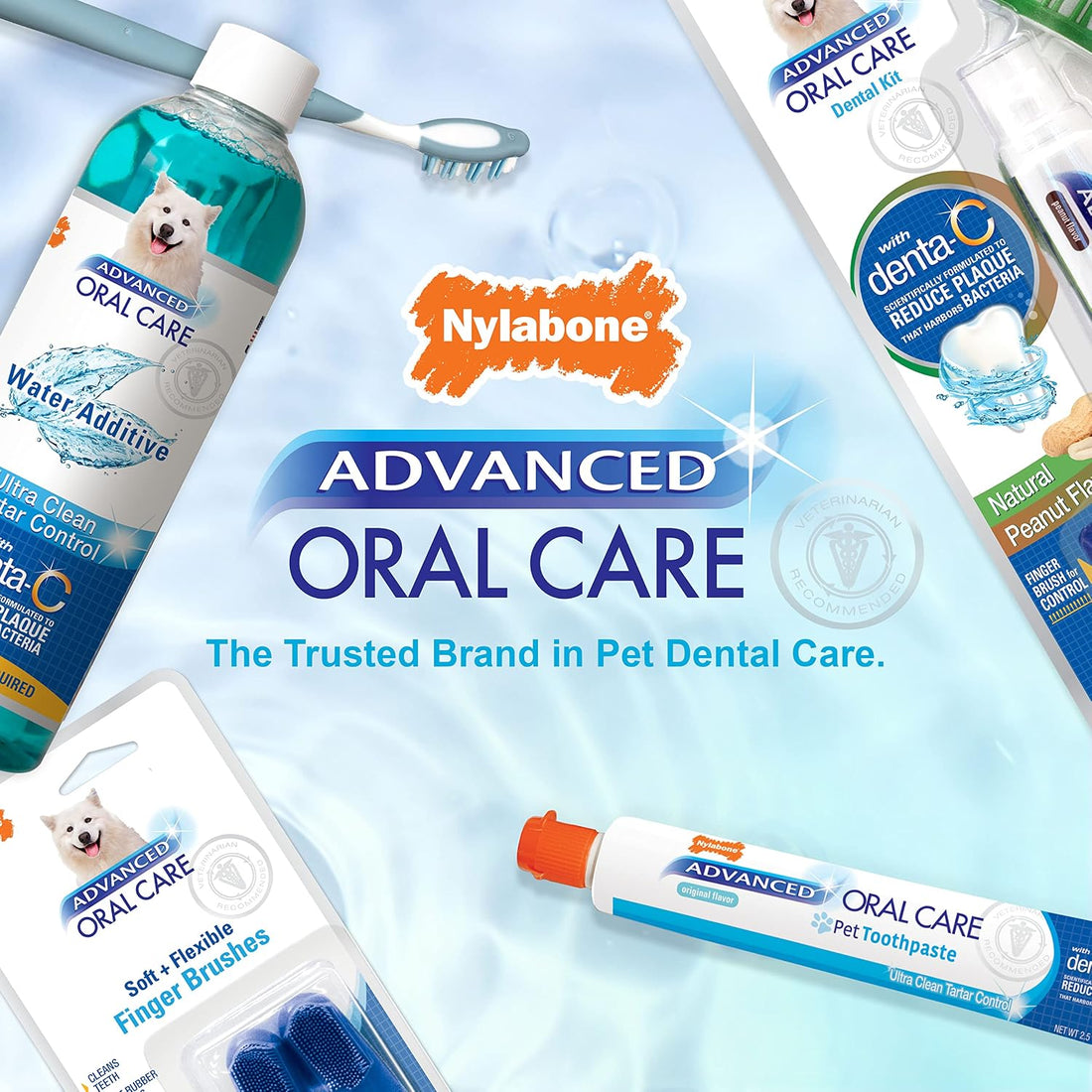 Nylabone Advanced Oral Care Tartar Control Dog Toothpaste Original