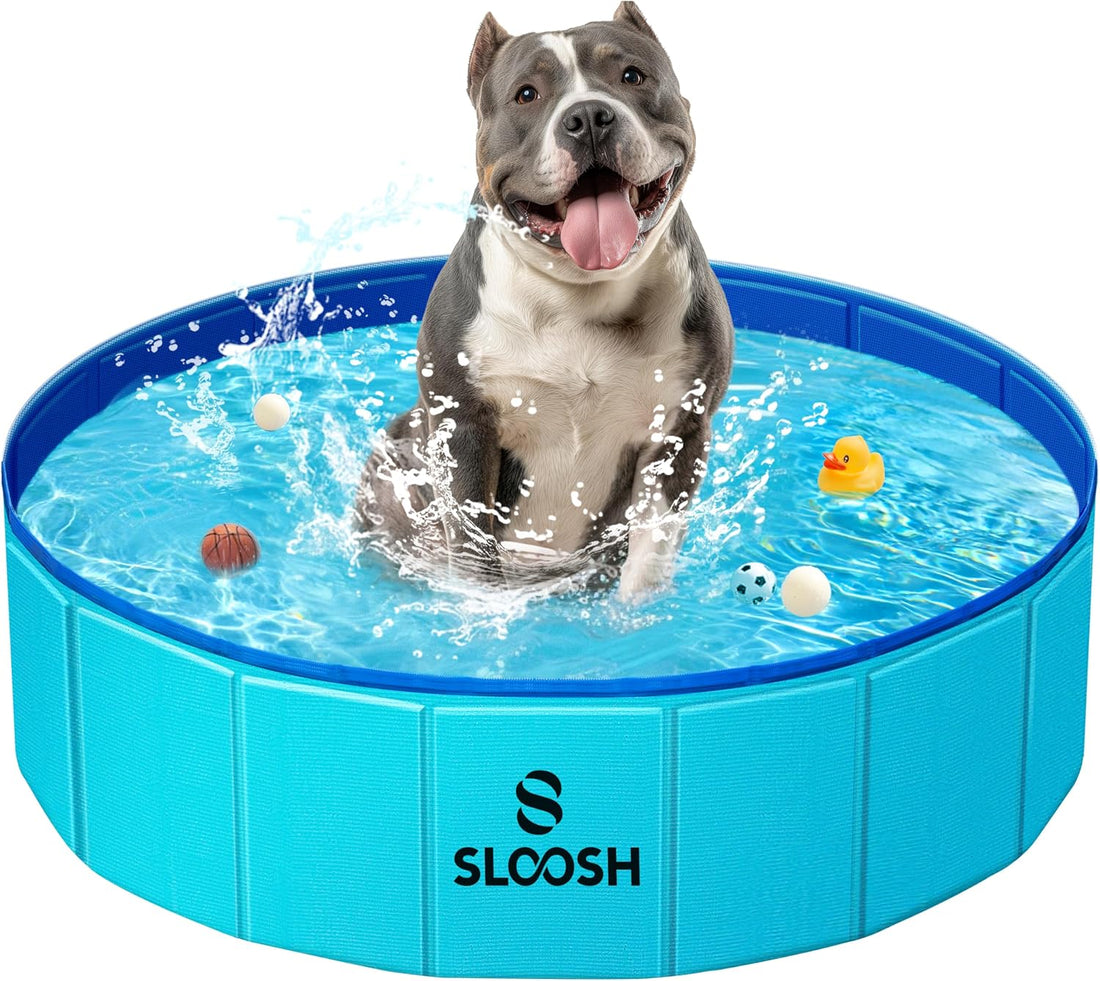 Sloosh Foldable Dog Kiddie Pool