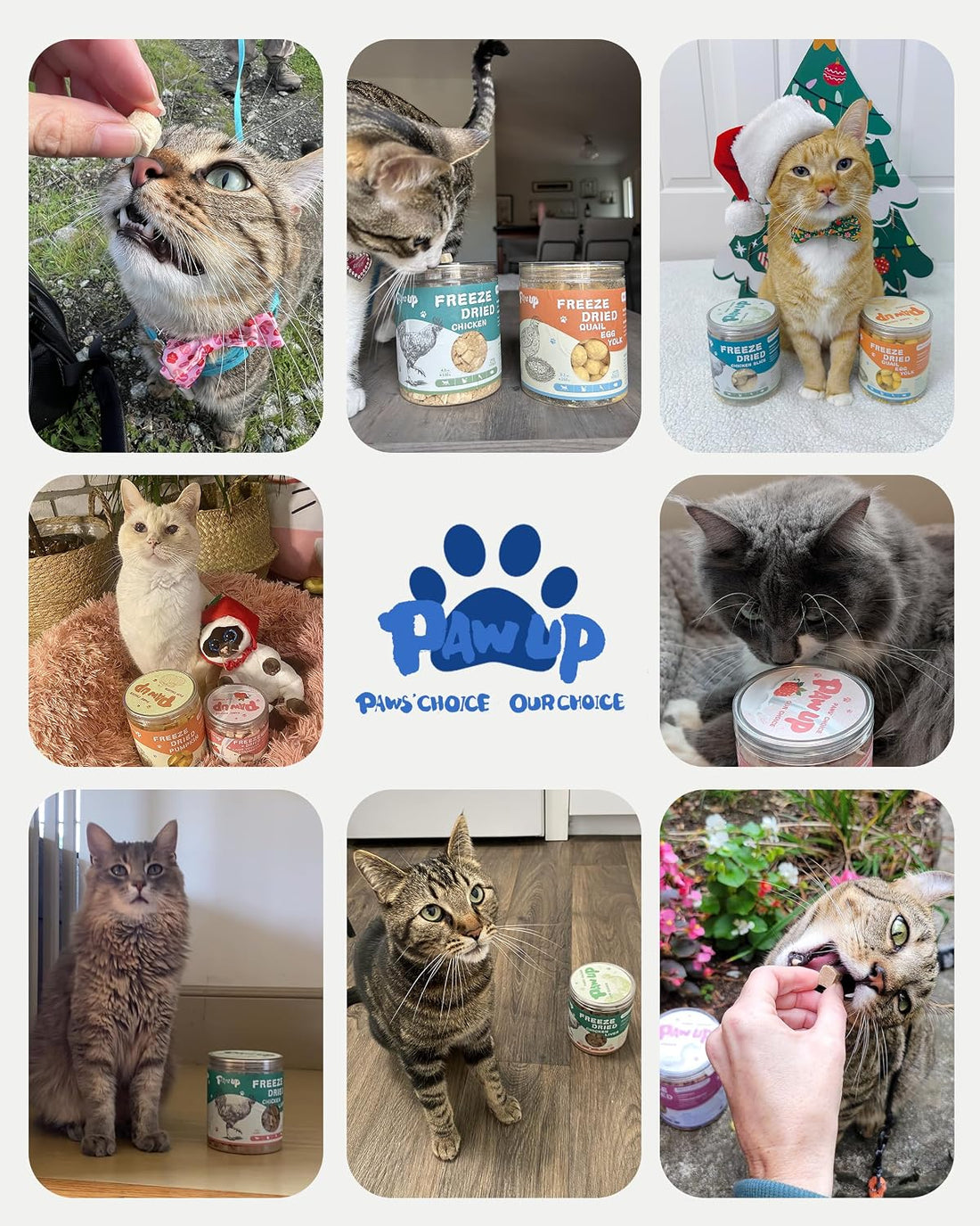 PAWUP Cats Treats Freeze Dried Minnows, Bite-Sized Minnows Snacks
