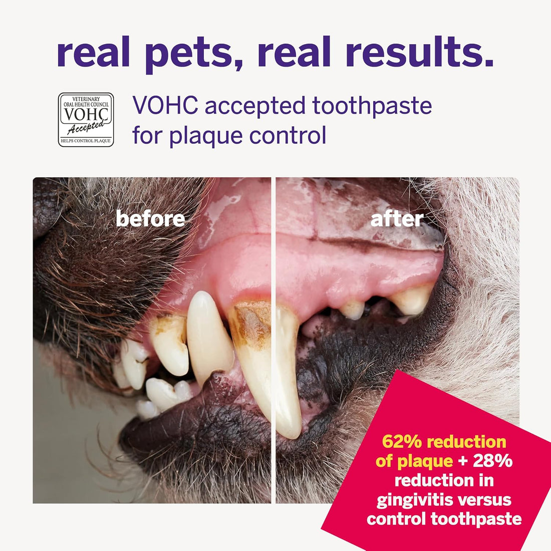 Petsmile Professional Pet Toothpaste for Cats & Dogs