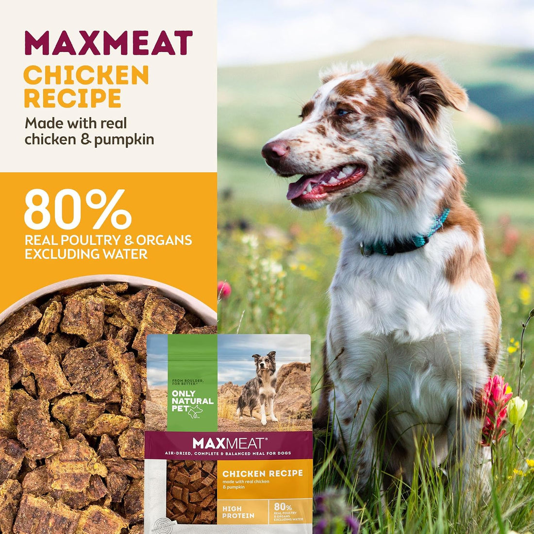 Only Natural Pet MaxMeat Air Dried Chicken Dry Dog Food Grain Free
