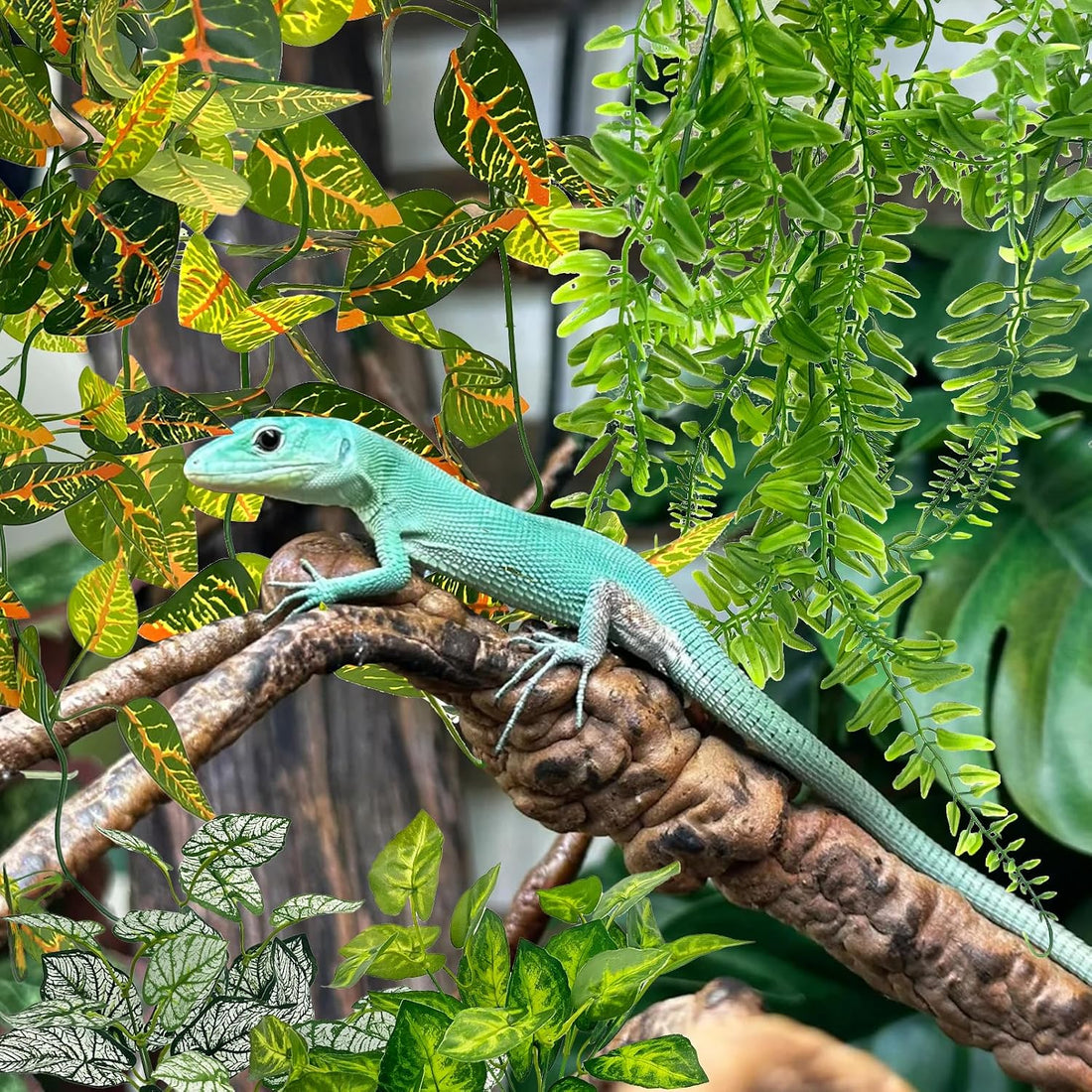 Hamiledyi Reptile Plants for Terrarium Hanging Fake Leaves