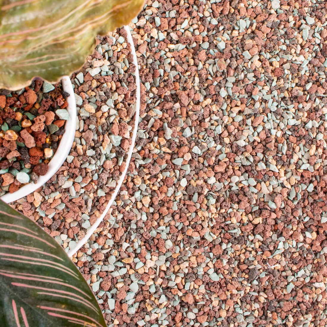 CJGQ 18lb Mix Lava Rocks for Plants