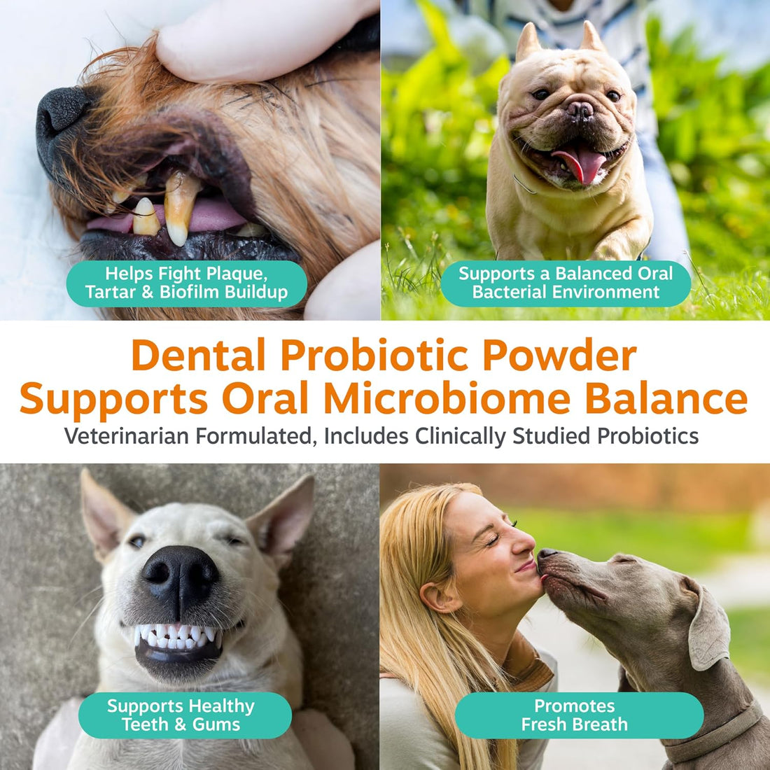 Zesty Paws Probiotic Dental Powder for Dogs Teeth - Fights Plaque