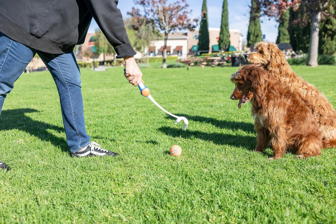 Chuckit! Cannon 18M Dog Ball Launcher, 18 Inch Size