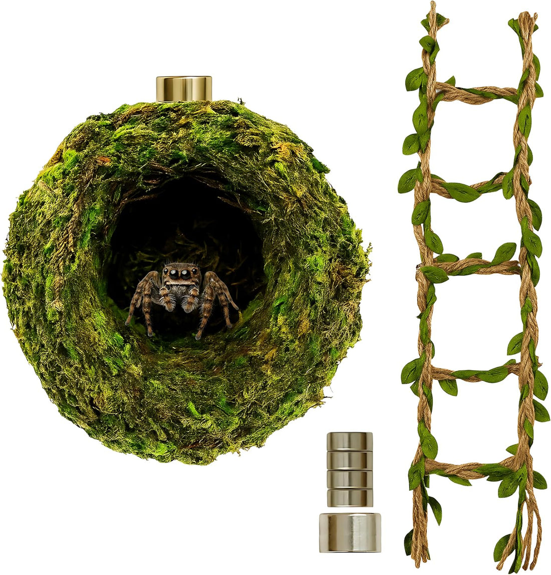 Jumping Spider Accessories - Moss Hideout with Hemp Rope Bridge