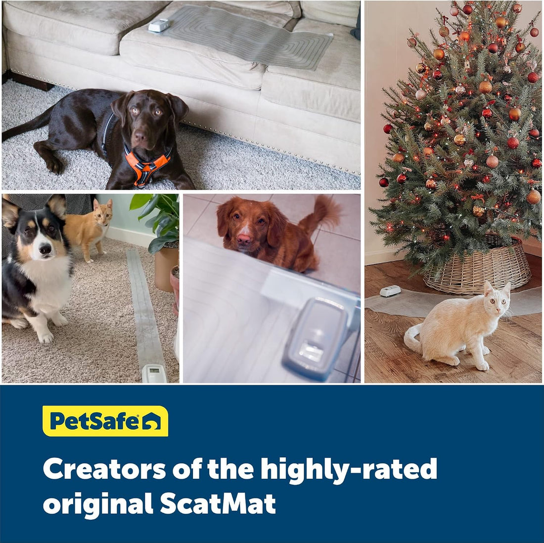 PetSafe ScatMat Indoor Training Mat