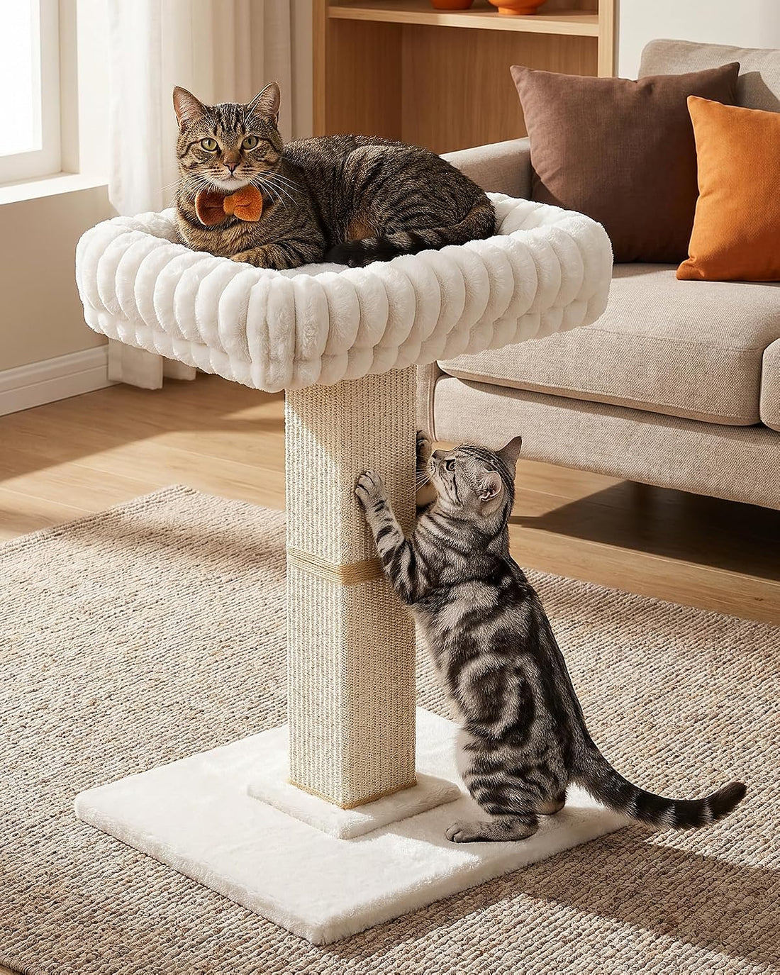 Modern Cat Scratching Post with Top Plush Bed for Indoor Cats