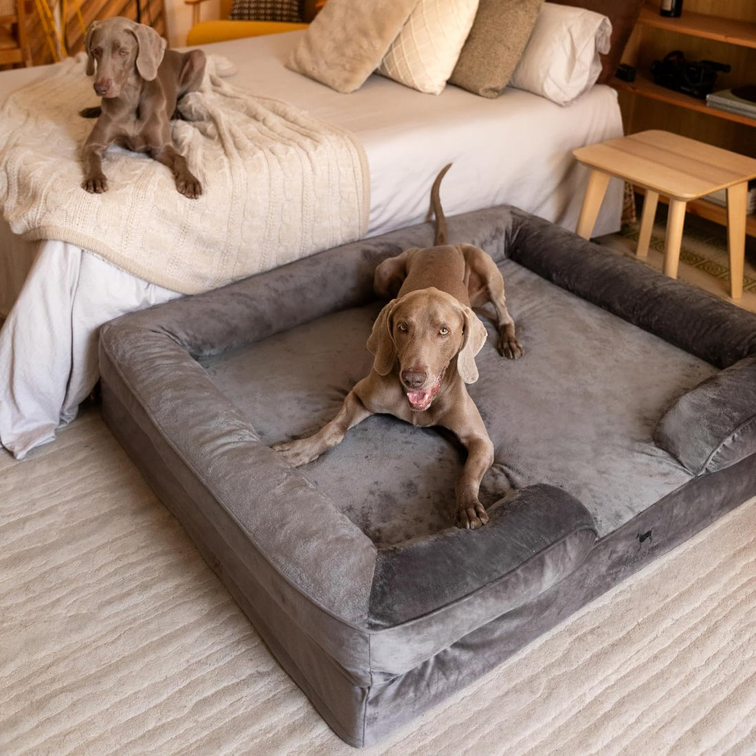 NOAH & PAW XXL Dog Bed, Orthopedic Memory Cooling Foam 55x45x11in