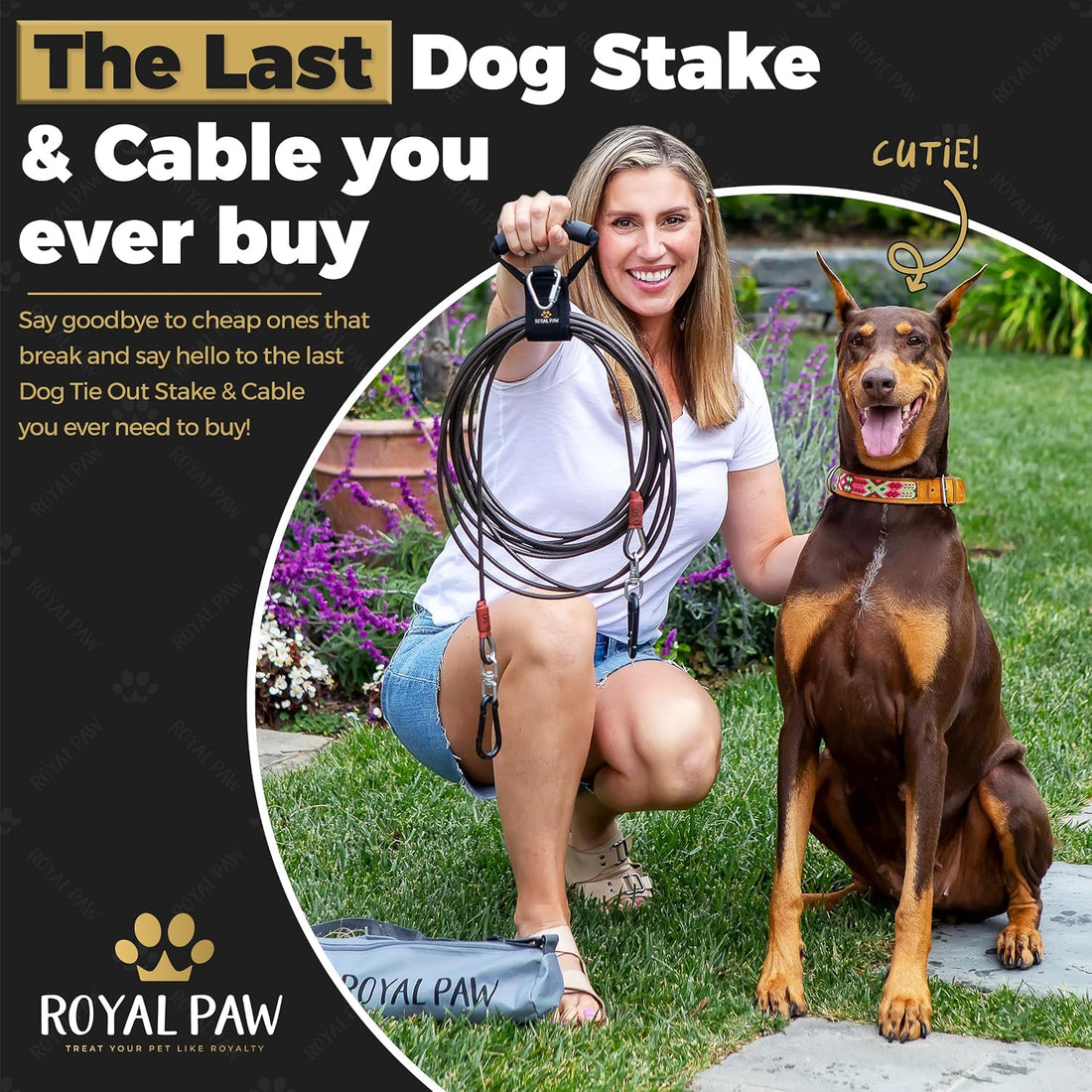 ROYAL PAW Dog Tie Out Cable and Stake 30ft