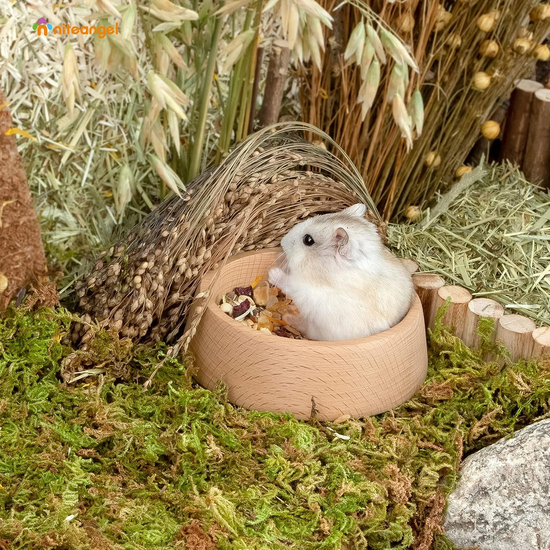 Niteangel Wooden Hamster Food Bowl: Beech Stable & Hammy Pattern