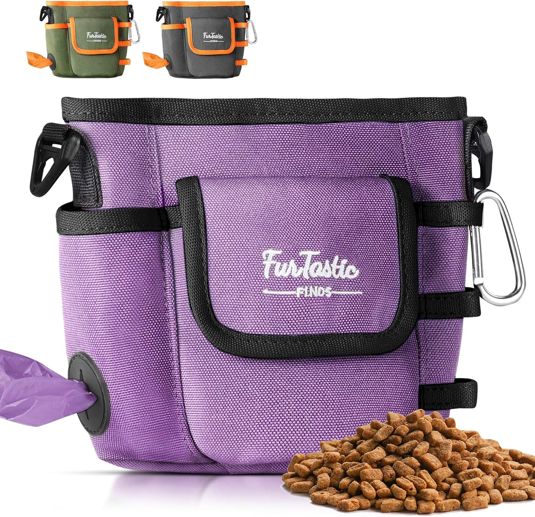 Dog Treat Pouch with Magnetic Closure for Pet Training
