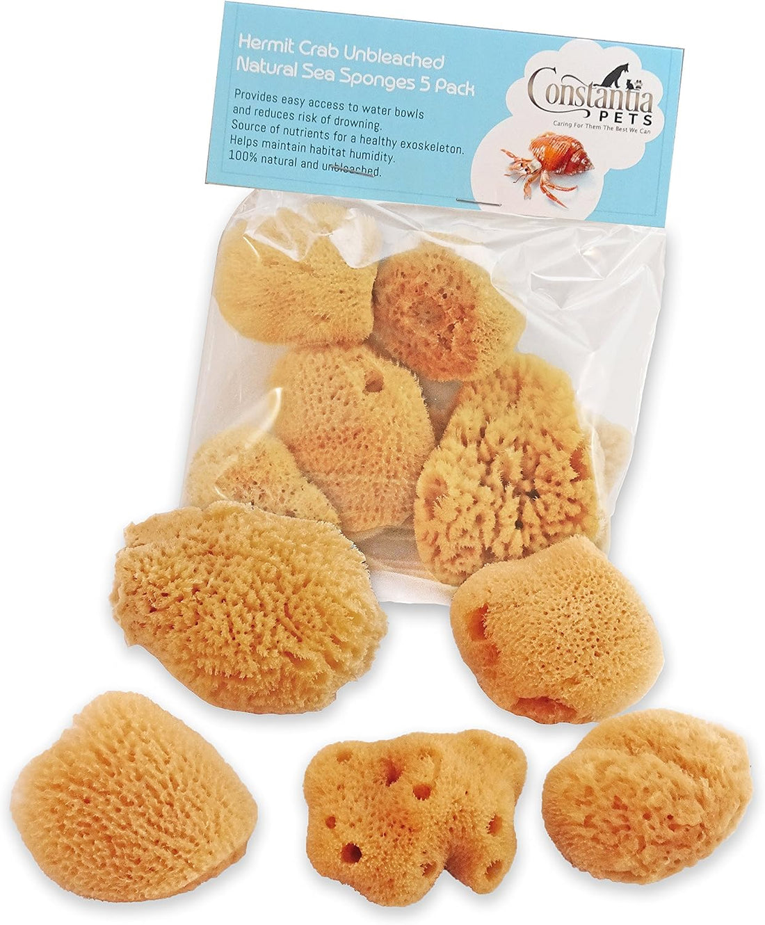 Natural Sea Sponges Hermit Crabs 5 Pack Unbleached