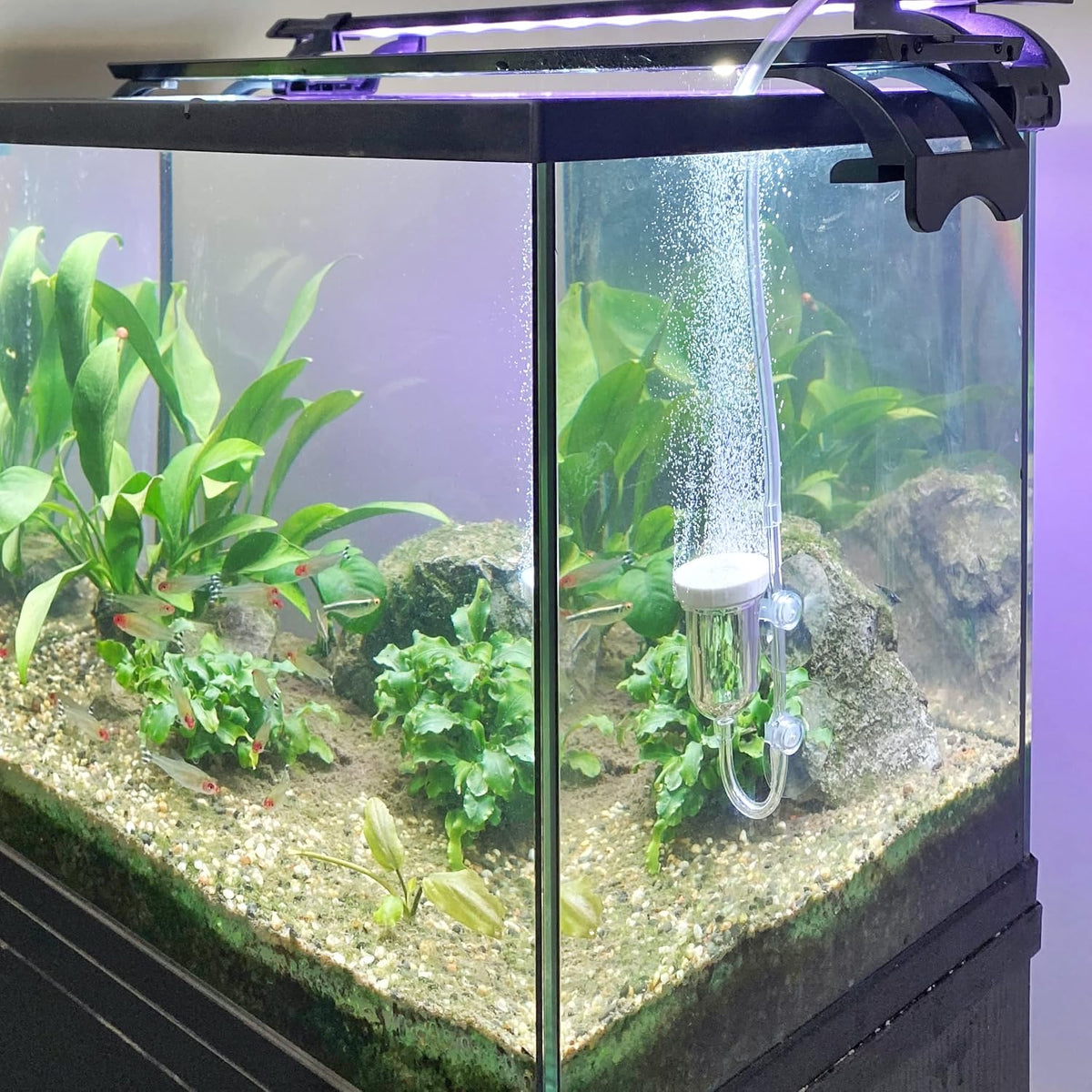 boxtech Aquarium Air Stone, Fish Tank Bubble Diffuser High Dissolved