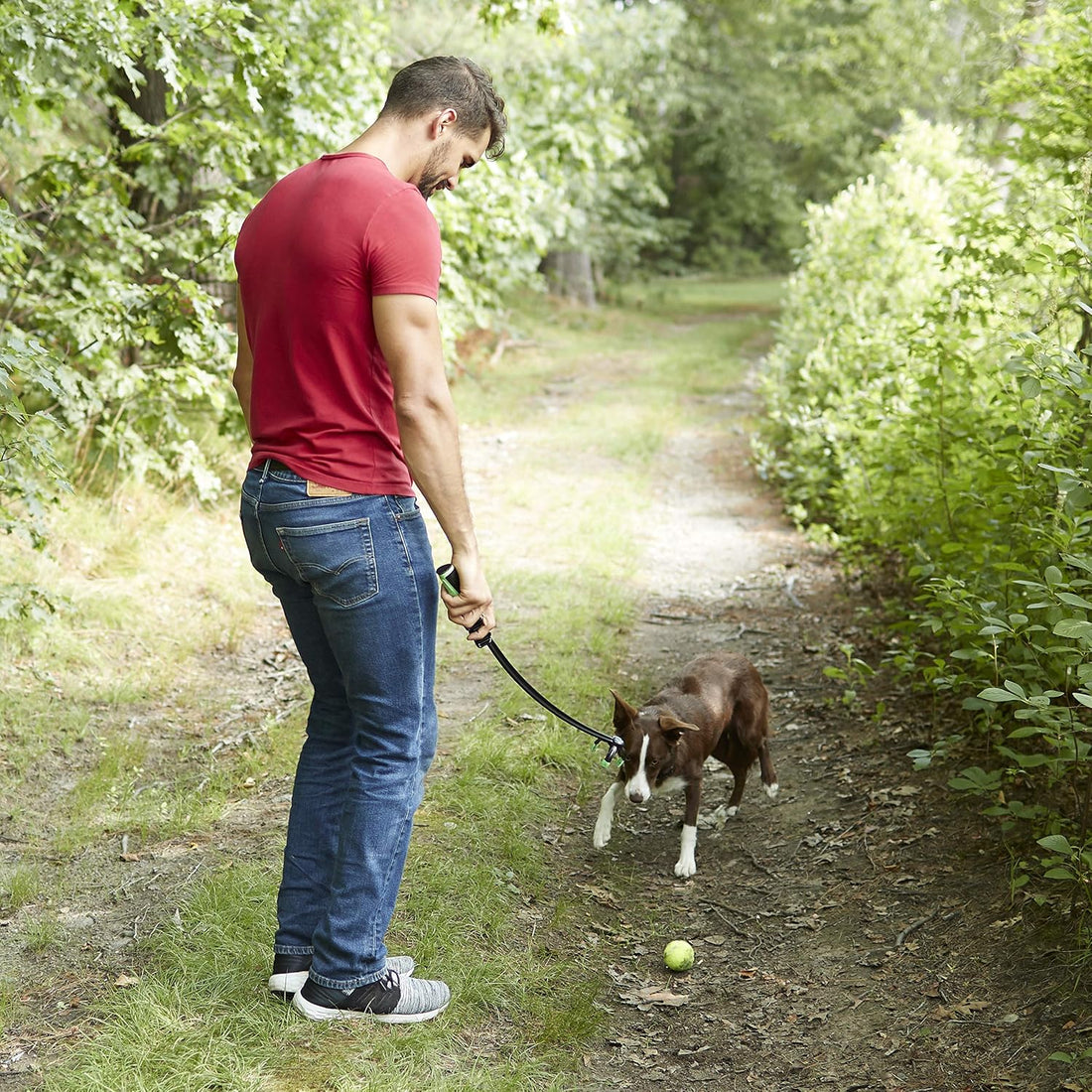 Franklin Pet Supply FETCH-IT LAUNCHER Tennis Ball Thrower
