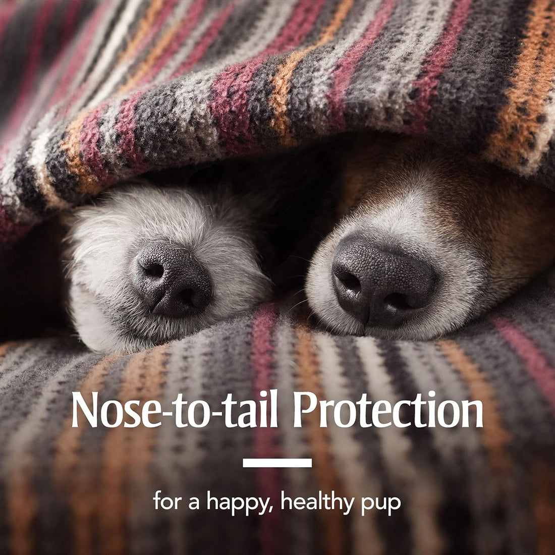 PetArmor Flea & Tick Collar Dogs, 12-Month Protection, 2-Pack