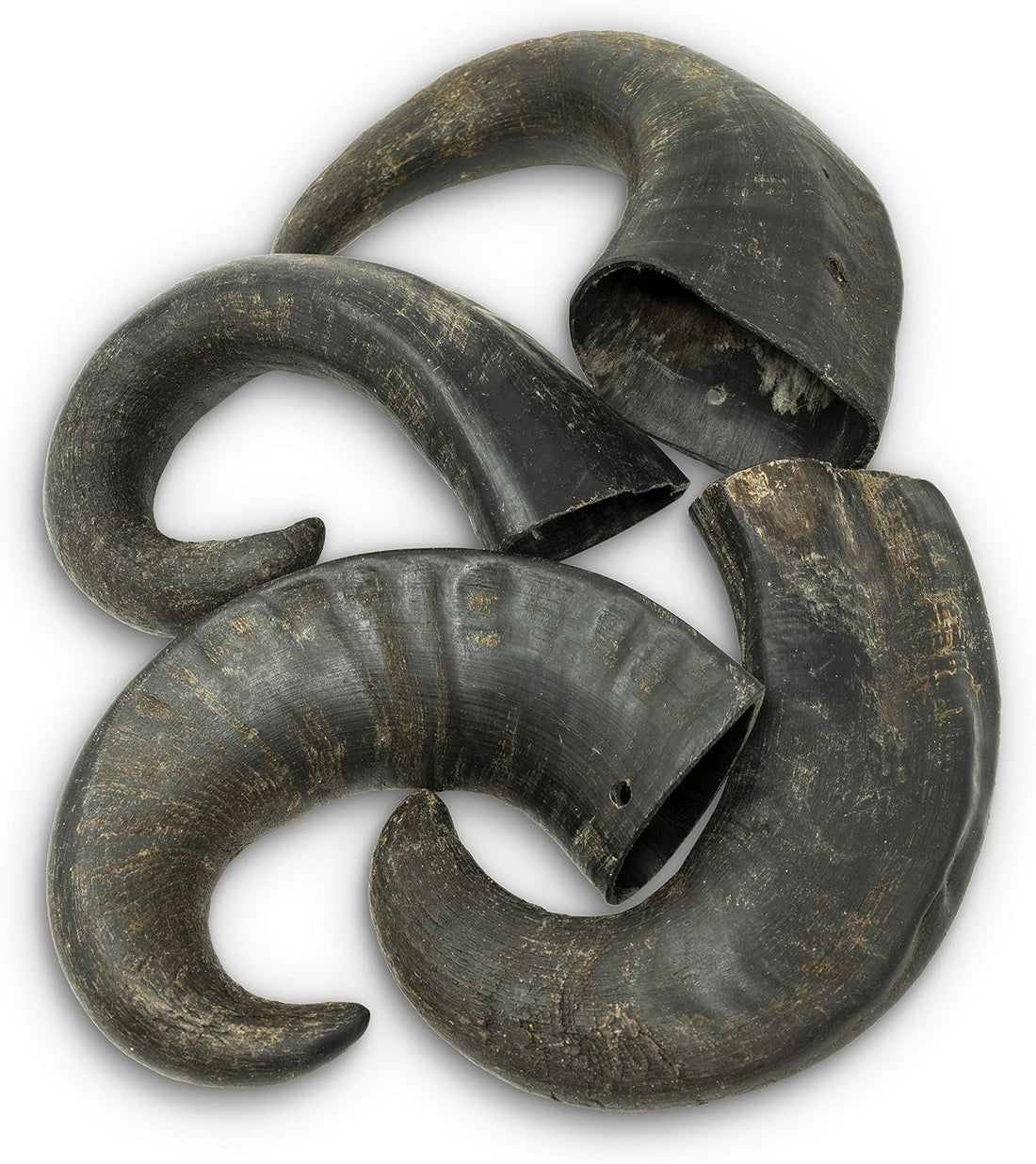 Wild Eats Water Buffalo Horn Dog Bones and Chews, 4 Pack, Medium