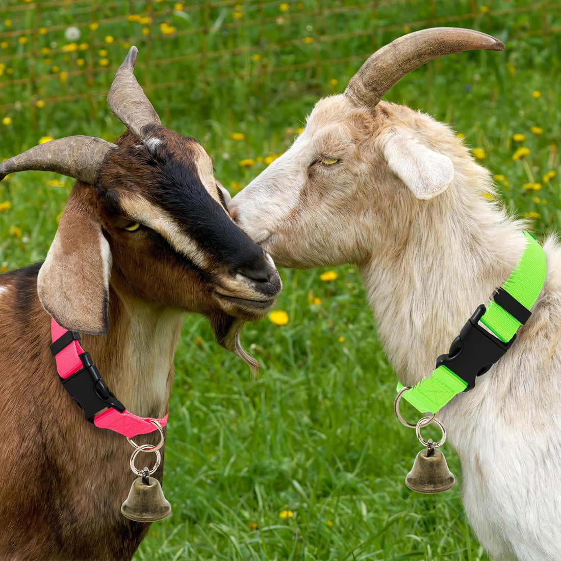 3 Pack Goat Collars with Loud Bells, Anti-Lost Grazing Pet Collar