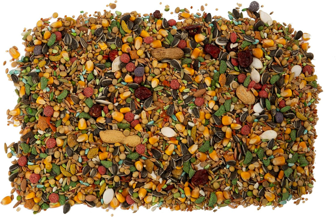 Wild Harvest Advanced Nutrition Parrot Food, 8 lbs
