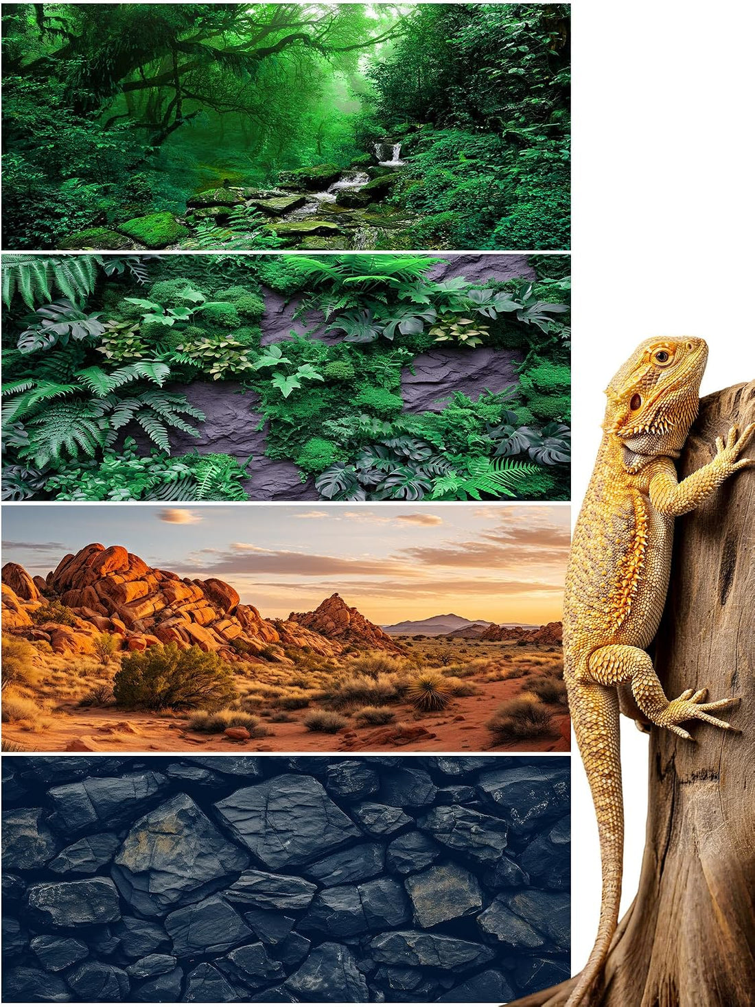 Breling 36 x 18 Inch 4 Pcs Reptile Tank Background,Habitat Scenes