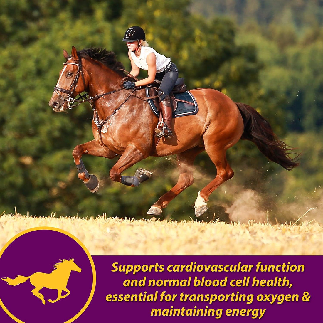 Farnam Horse Health Red Cell Pellets