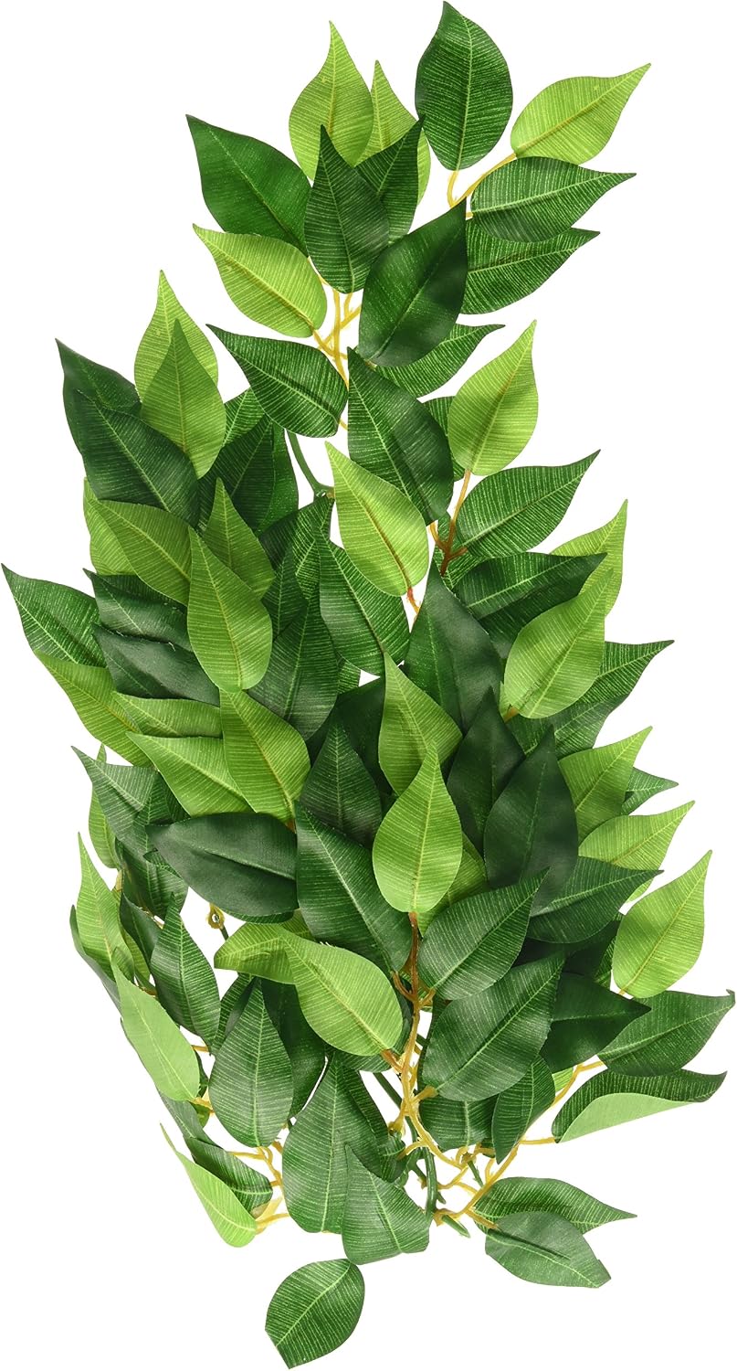 Hagen Exo Terra Plastic Terrarium Plant, Small, Amapallo