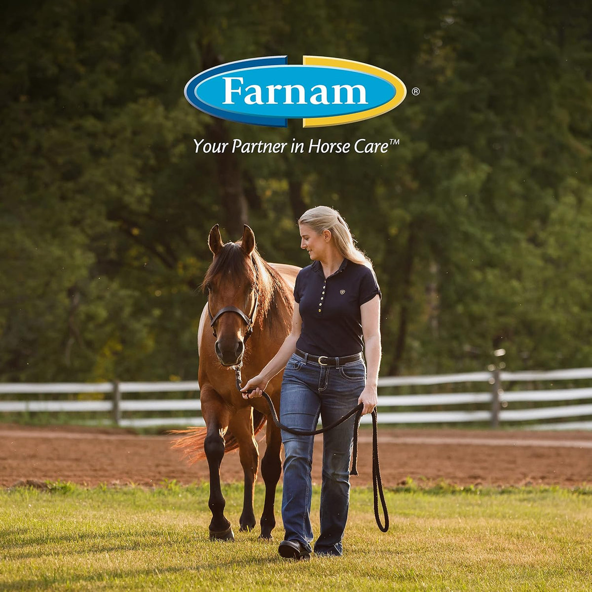 Farnam Endure Roll-On Fly Repellent for Horses Up to 7 Days