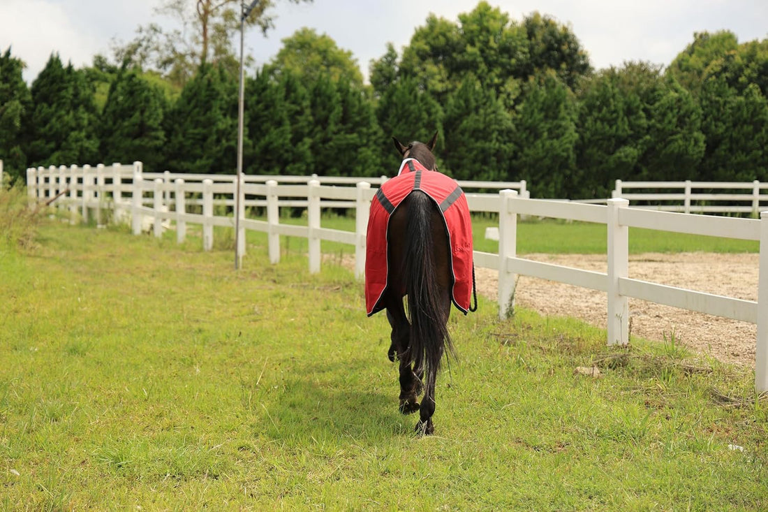 T TEKE Deluxe Horse Canvas Sheet for Snug and Clean in Stable