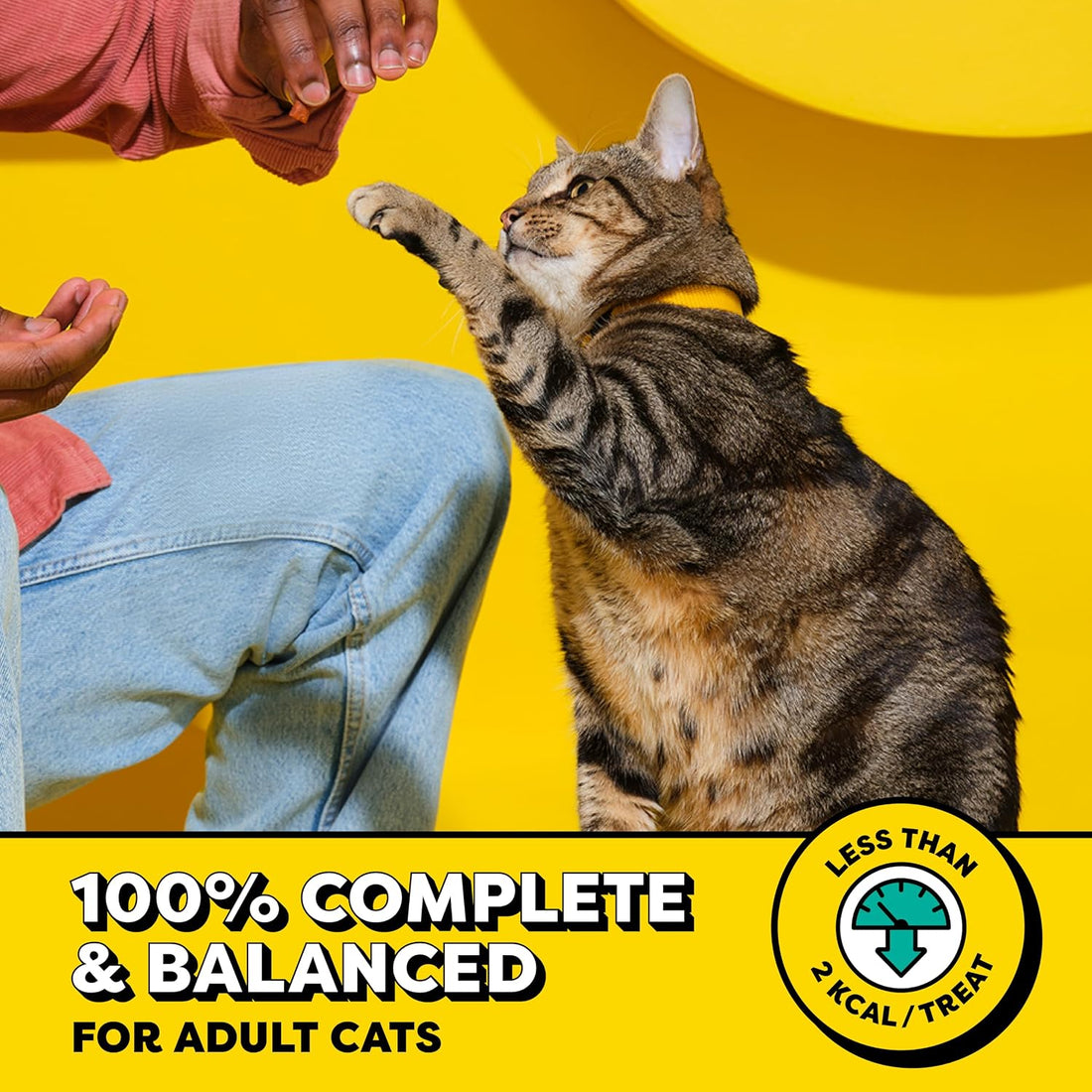 Temptations Cat Treats, Classic Crunchy and Soft Cat Treats