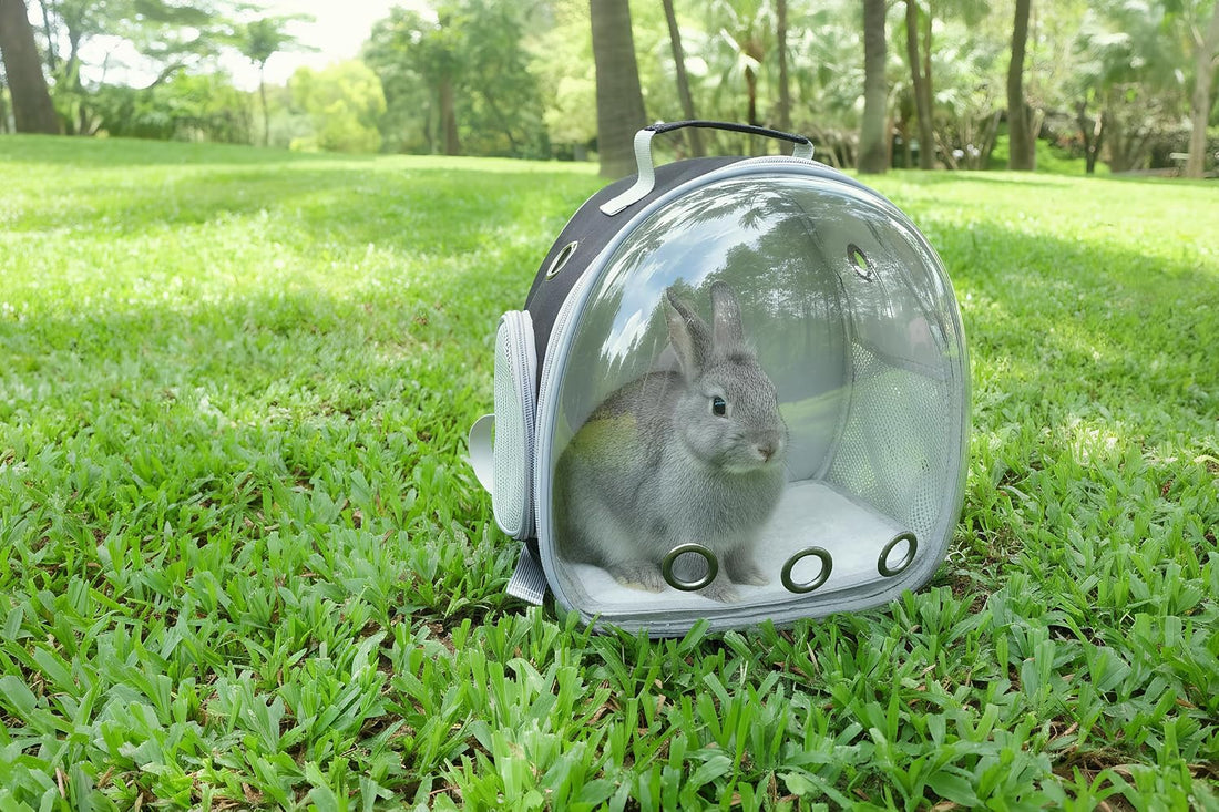 Small Animal Carrier Guinea Pig Backpack,Transparent