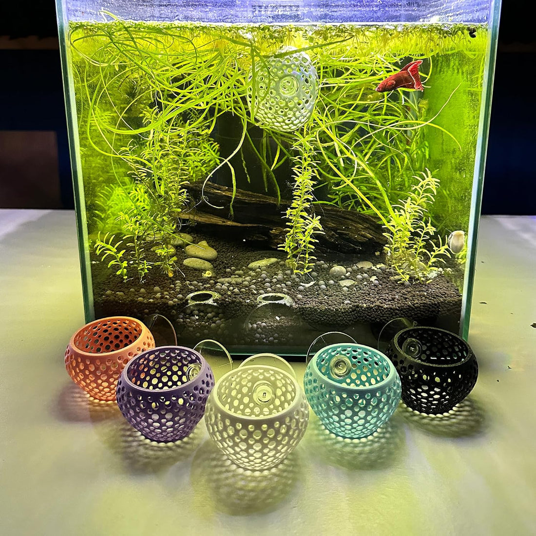 CTWPets Betta Bulb Hide, Betta Bed & Aquarium Cave, Cotton Candy Blue